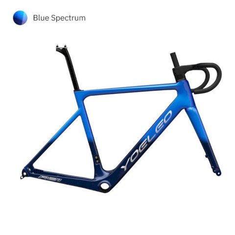 R21 Disc Brake Bike Frameset